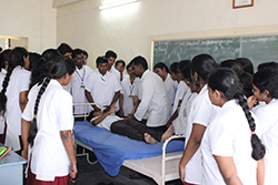 Bachelor of Physiotherapy